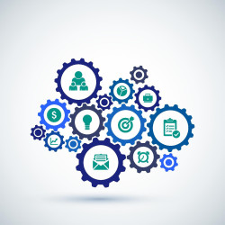 Ciclo de Gestão de Projetos em Criação de Empresas