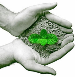 Implementação de Sistemas de Gestão Ambiental