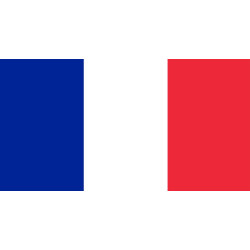 Francês Iniciação - Nível A1