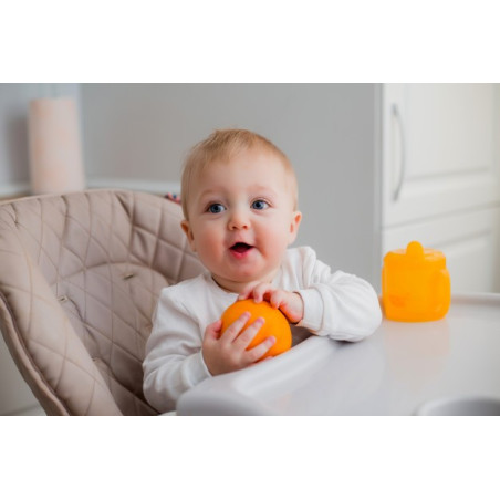  Diversificação Alimentar - diversificação no 1.º ano de vida