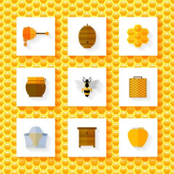 Apicultura