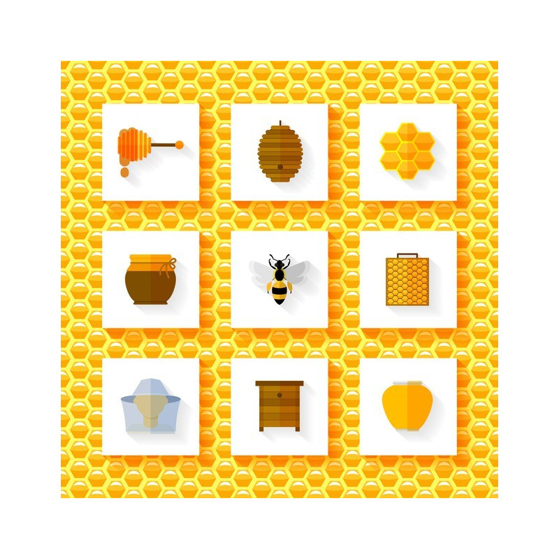 Apicultura