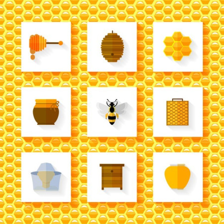 Apicultura