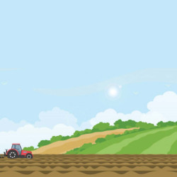 Solos e Fertilidade