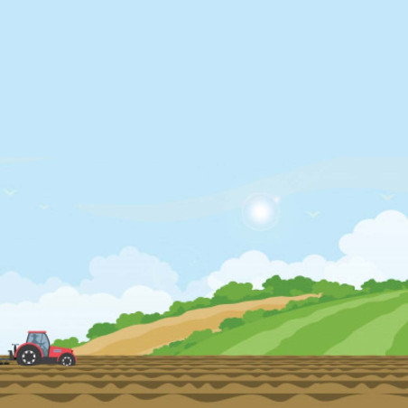 Solos e Fertilidade